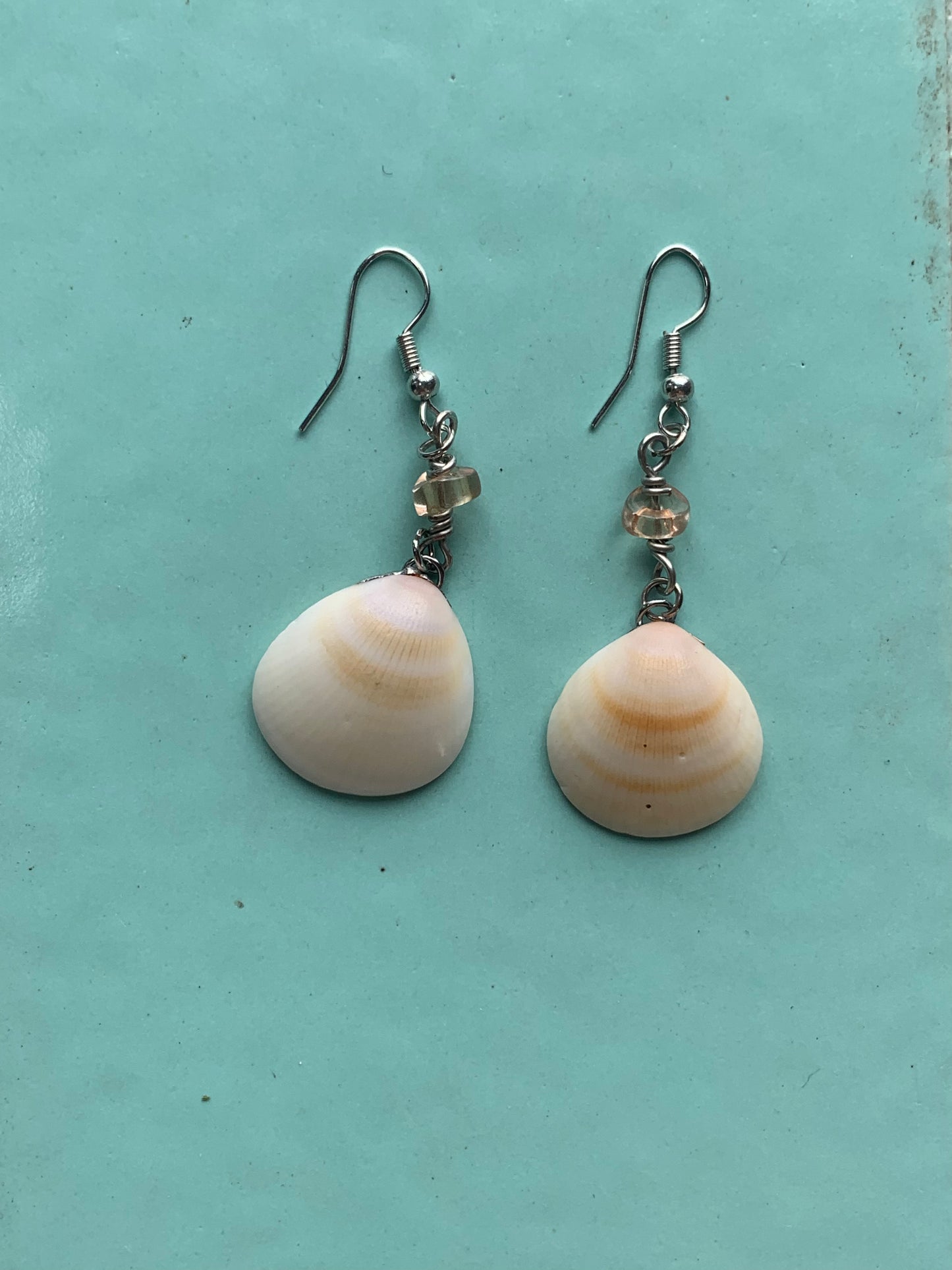 Shell Twins Earrings