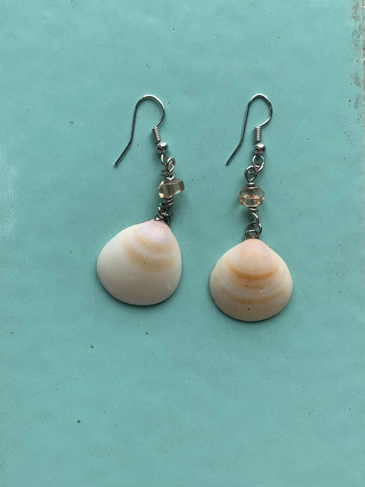 Shell Twins Earrings