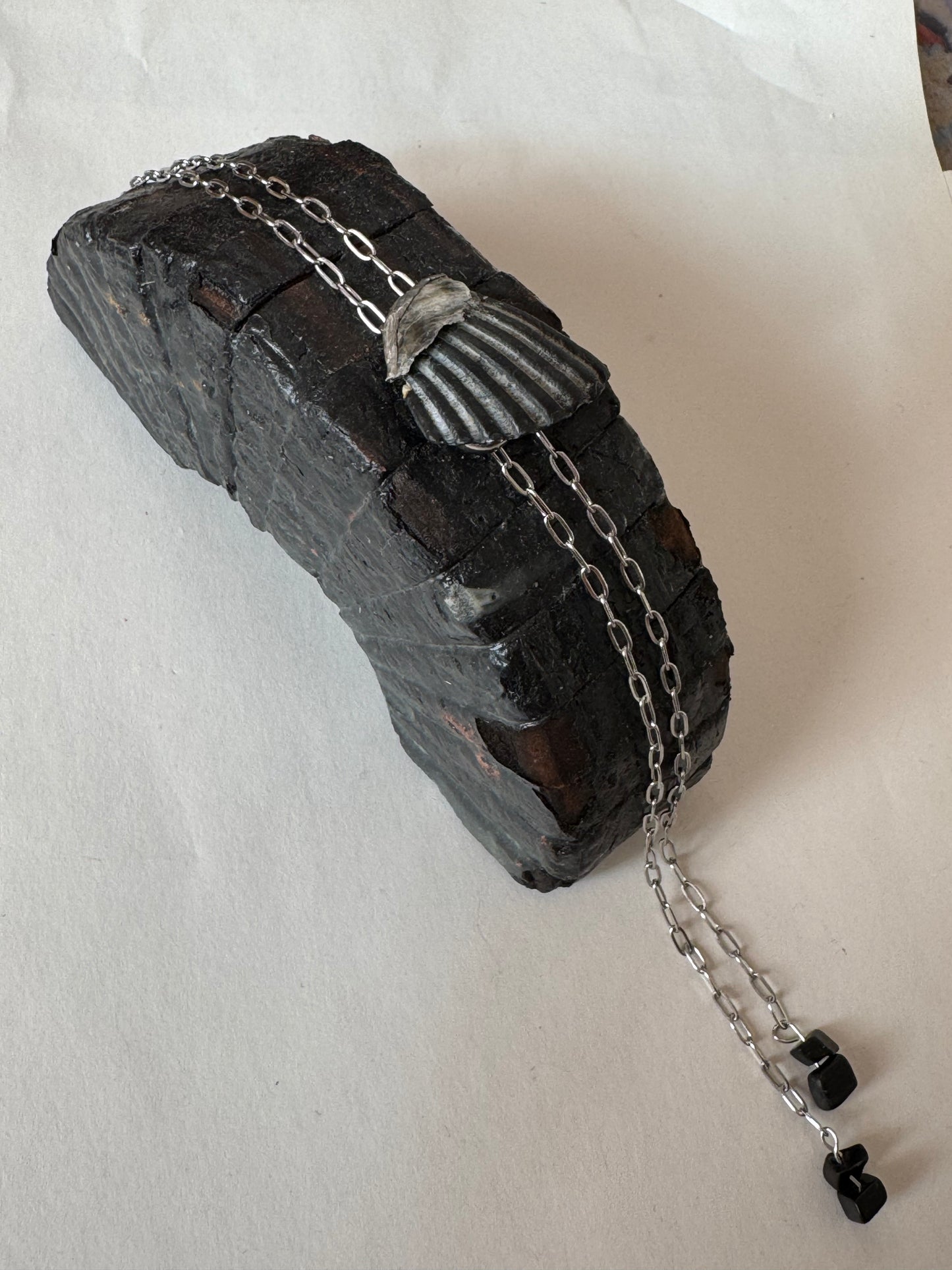 Black Shell Bolo